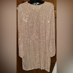 Shimmering Sequin Dress
